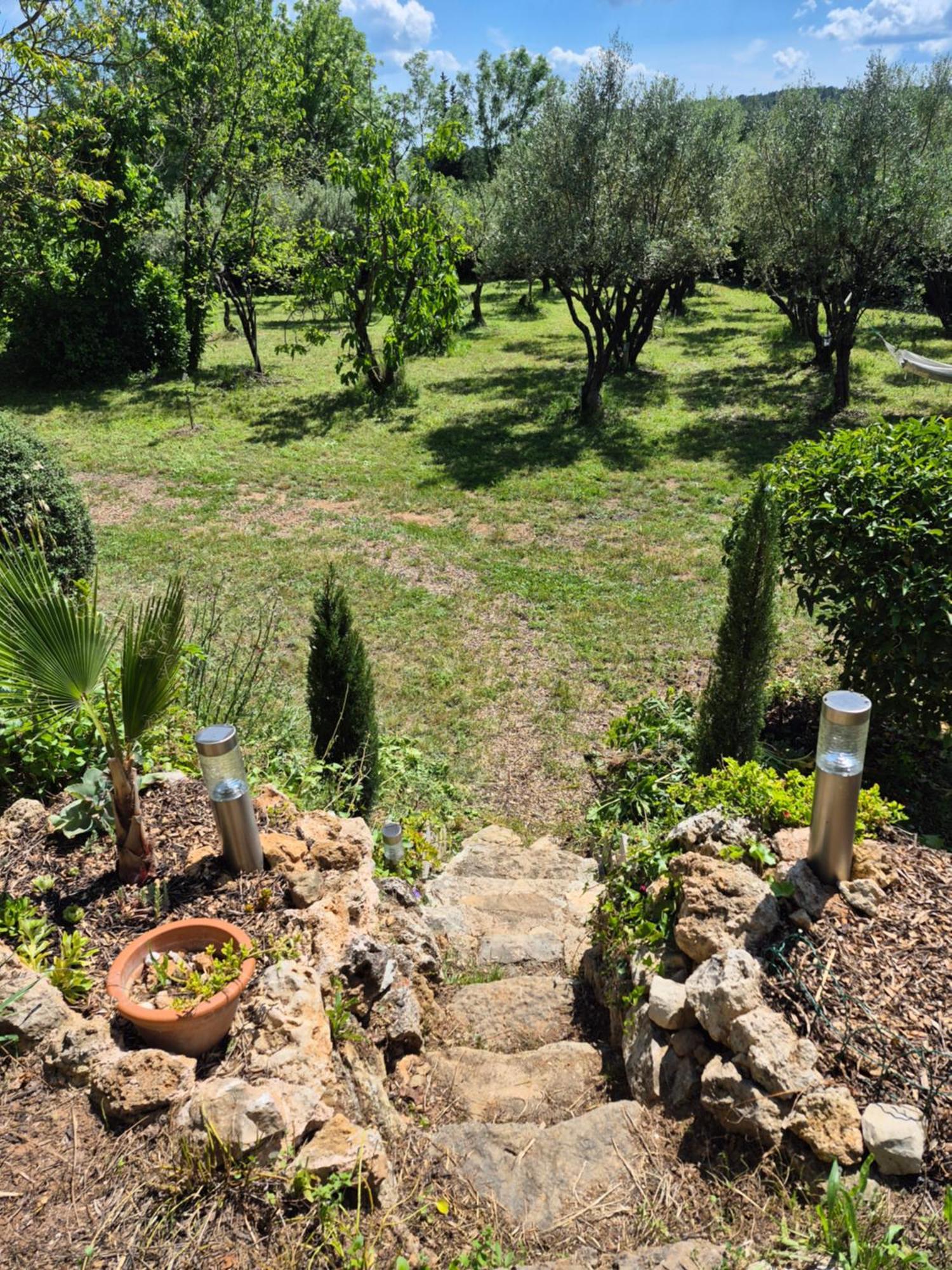 Maison Dans La Provence Verte Cotignac Buitenkant foto